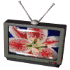 Animiertes Fernseher Gif 5