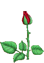 Animiertes Liebe Gif 8