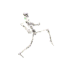 Animiertes Skelette Gif 12
