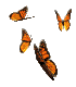 Animiertes Tiere Gif 13
