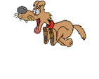 Animiertes Tiere Gif 14