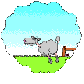 Animiertes Tiere Gif 24