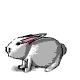 Animiertes Tiere Gif 7
